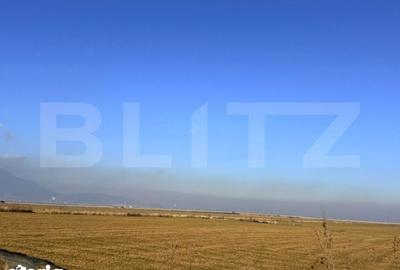 Spațiu comercial, de 10,000 mp, în Mănești - 1