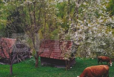 Teren de 25200 mp, în Bran