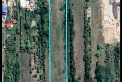 Teren Construcții intravilan de 5000 mp, în Smeura - 4