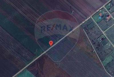 Teren de 3500 mp, în Hălchiu - 2