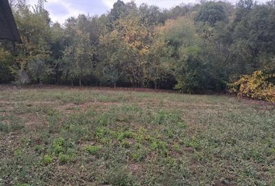 Casa traditionala cu teren generos - Borosteni, Pestisani, jud. Gorj Casa traditionala cu teren generos - Borosteni, Pestisani, jud. Gorj - 4