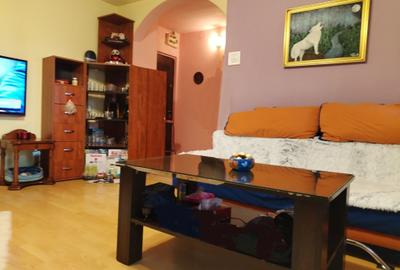 Apartament Studio - Brazda lui Novac - 4