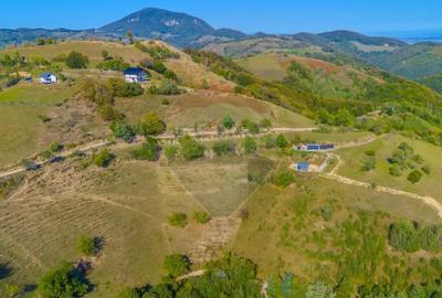 Teren de 6014 mp, în Holbav - 11