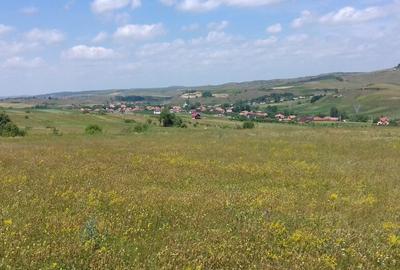 Teren intre Popesti si Corusu(jud. Cluj),in apropierea padurii 4400mp - 1
