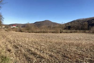 Teren de 8800 mp, în Dej - 1