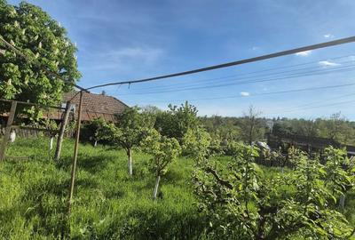 Casă cu 4 camere în Hoceni - 2