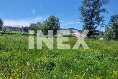 Teren intravilan Domnesti, Central langa Liceu, pe malul Raului - 6