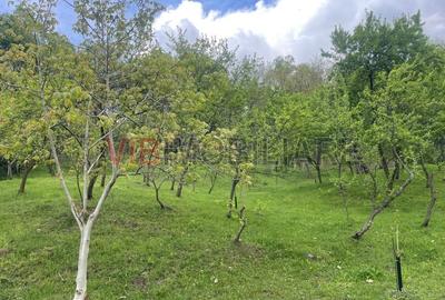 Teren intravilan de 7280 mp, în Mihăești - 2