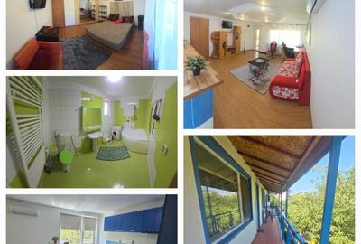 2 camere, in vila, la curte comuna, centrala, pet friendly, Gorjului 2 camere, in vila, la curte comuna, centrala, pet friendly, Gorjului - 8