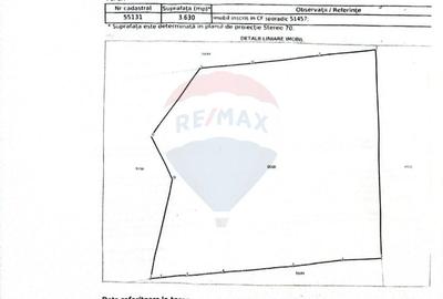 Teren intravilan de 49000 mp, în Borca - 17