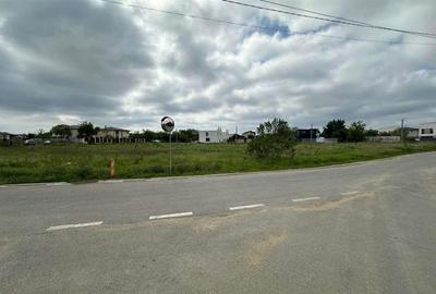 Teren Construcții intravilan de 8877 mp, în Odăi - 2