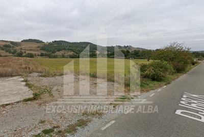 Teren Construcții extravilan de 5800 mp, în Periferie - 2