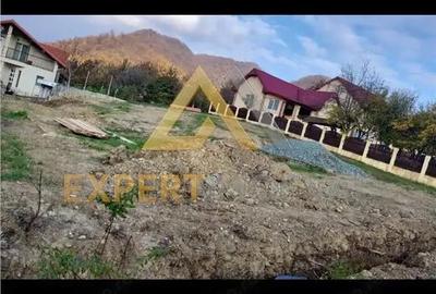 Teren de 700 mp, în Vest - 4