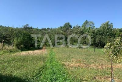 Casa de vanzare 3 camere 90 mpu teren liber 1095 mp Persani - 14