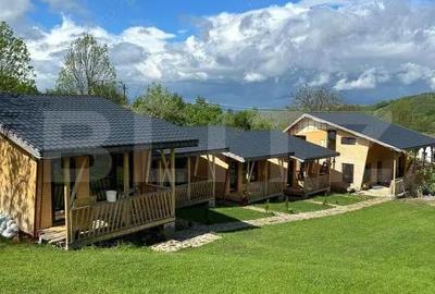Complex turistic de 5 cabane,3100 mp teren,Transalpina Super pret!! - 4
