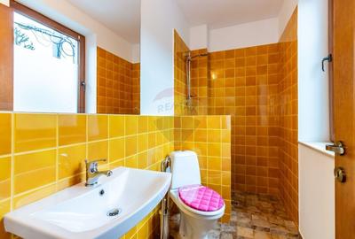 Vilă de inchiriat | Floreasca | Barbu Vacarescu - 21