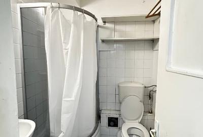 Lacul Tei -Teiul Doamnei Facultatea de Constructii - 11