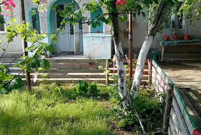 Casă cu Teren 2000 Mp în Mereni - 3