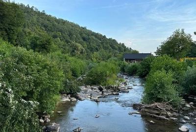 Teren Intravilan, în orașul Sebiș, Arad - 3