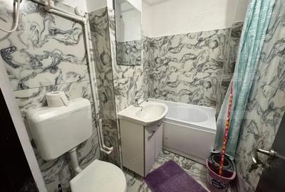 Garsonieră semidecomandată în Lăpuș - 3