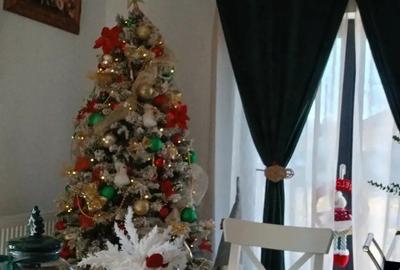 Casa si teren de vinzare - 2