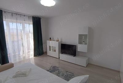 Ofer spre inchiriere apartament 2 camere in avangarden 3 - 1