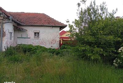 Casă cu 3 camere în Măderat - 5