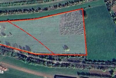 Teren de 17000 mp, în Râmeț - 2