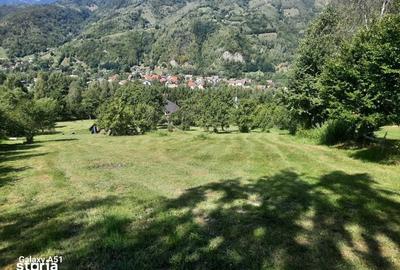 Teren de 1450 mp, în Bran - 5