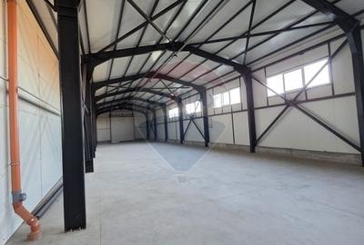 Hala plus spatiu birouri, zona Strada Vrancei - 4