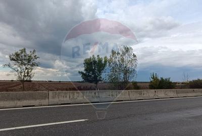 Teren Construcții intravilan de 6500 mp, în Snagov - 2