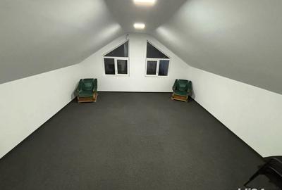 Spatii de inchiriat - 5