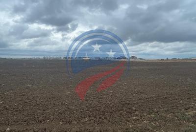 Teren  zona Aeroport 25 euro/mp - 2