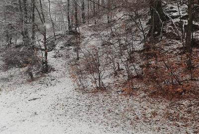 Teren intravilan situat in Busteni Teren intravilan situat in Busteni - 4