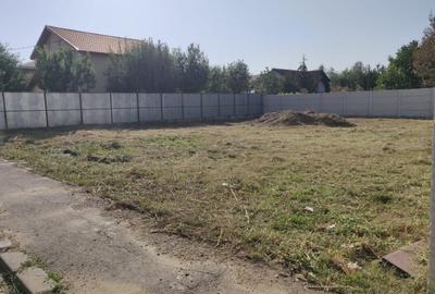 Teren în Bragadiru - 4