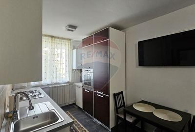Apartament cu 2 camere decomandat, mobilat în Precista - 10