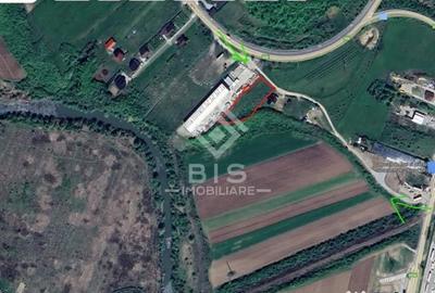 Teren de 2500 mp, în Viișoara - 3