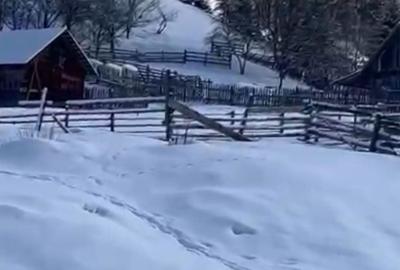 Teren de 6000 mp, în Ortoaia - 2