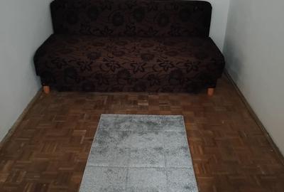 Apartament cu 2 camere semidecomandat în Craiovița Nouă - 2