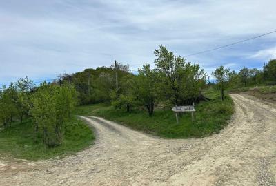 Spațiu comercial, în Central - 3