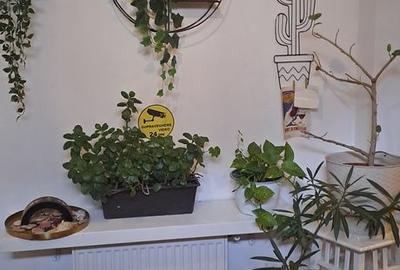 Casă cu 3 camere în Ultracentral - 1