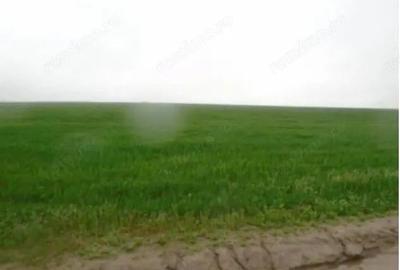 Teren de 4849 mp, în Valea Mare - 4