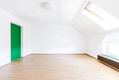 De vanzare proprietate pretabila cazare/locuire/pensiune rurala,  Carani, Timis - 13