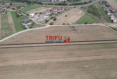 Teren intravilan cu apa si canalizare posibilitate de extindere - 1