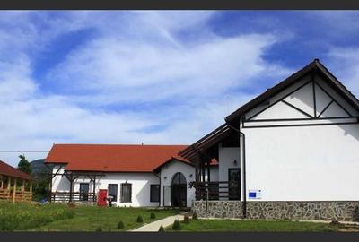 Guesthouse for sale near Mehedinți Mountains - 8