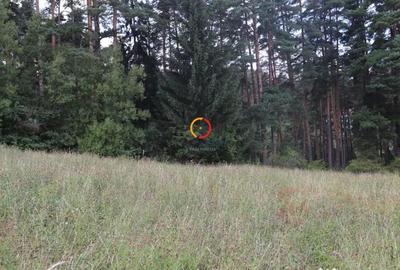 Teren de 1195 mp, în Poiana Angelescu - 5