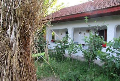 Casa ?i Teren sat Sandulita-Calarasi - 5