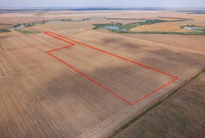 FRUMUSANI - PASAREA, TEREN 14420 MP, FRONT 40 M! - 4