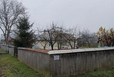 Casă cu Teren 4200 Mp în Dumbrăvița - 4