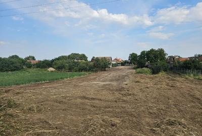 Teren Construcții intravilan de 2878 mp, în Dudeștii Noi - 3